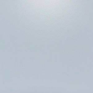 Meet your Posher, Lindsay